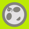 stallman6